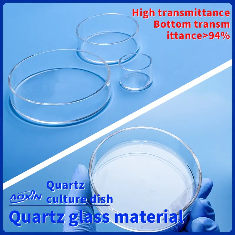 High transmittance quartz glass petri dish highlighting material quality and bottom clarity.