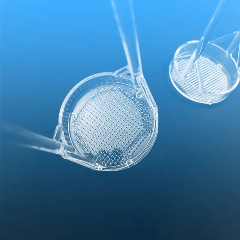 Top-down close-up view of two clear quartz wafer dipping baskets, highlighting the perforated base for drainage